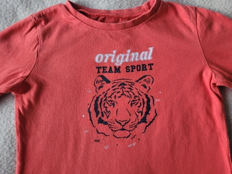 Camiseta de manga larga In Extenso 4 años – photo 4